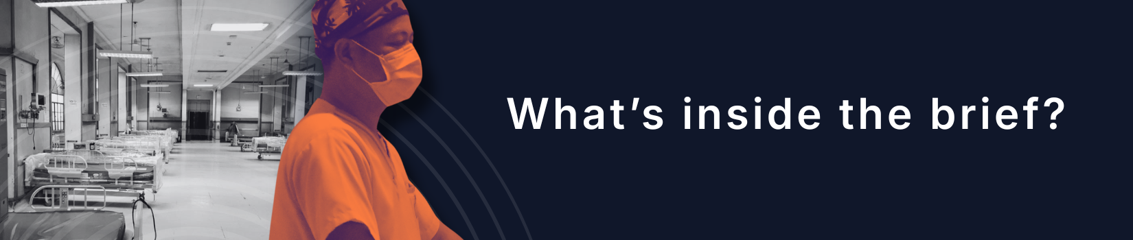What's Inside the Brief?