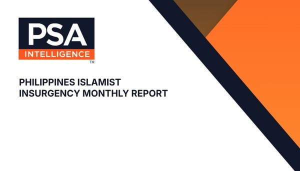 Islamist Insurgency and Terrorism Report – February 2026